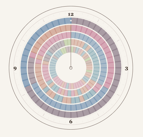 Preview of the Where the Hours Go visualization